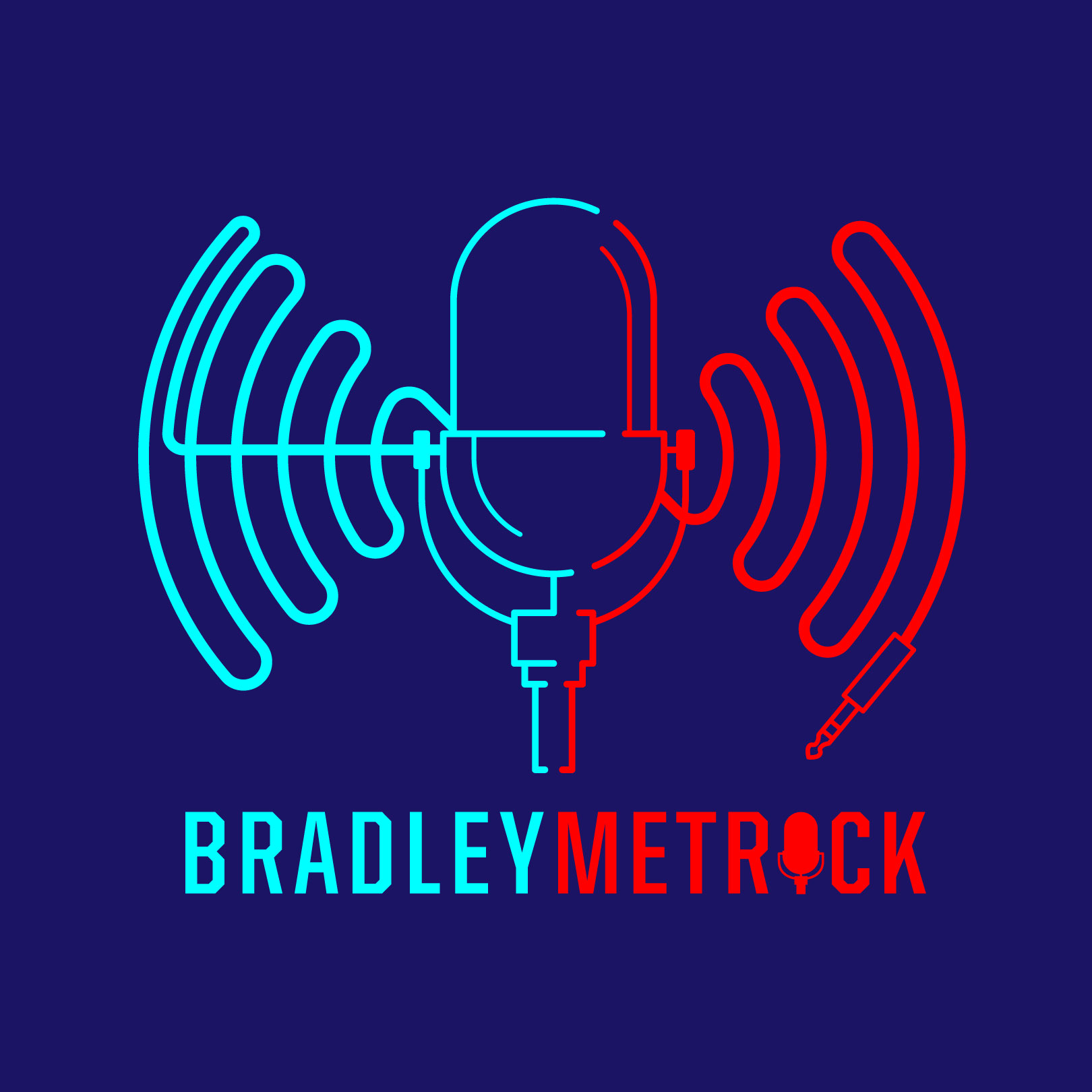 Bradley Metrock Voice Spark Live voicespark.live