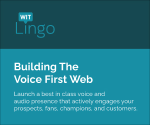 Sponsor WitLingo 300x250 Banner VoiceSpark.Live